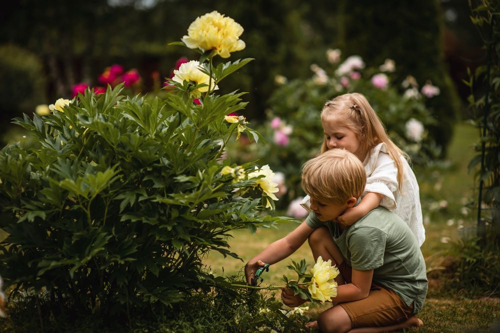 Photograph by Екатерина Часова