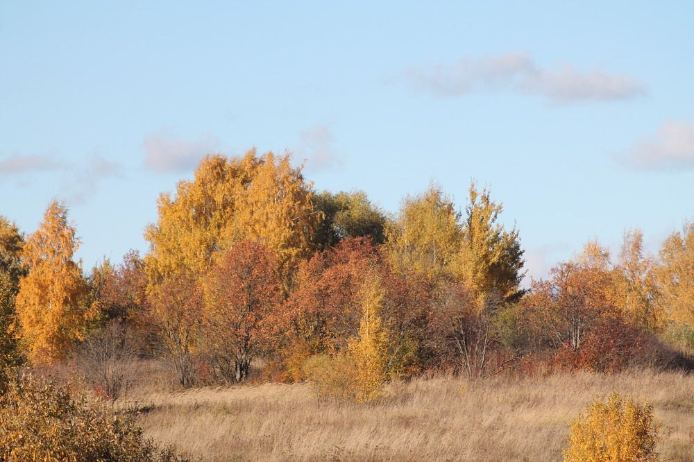 Photograph by Людмила Павловна