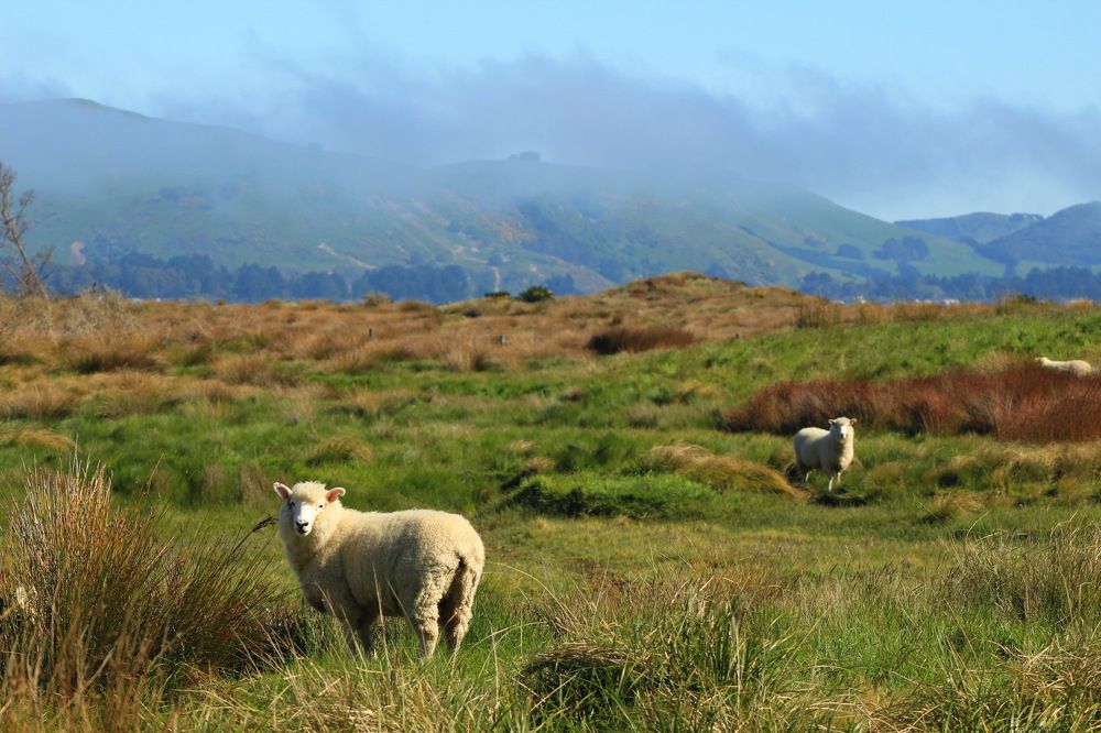 За нами следят