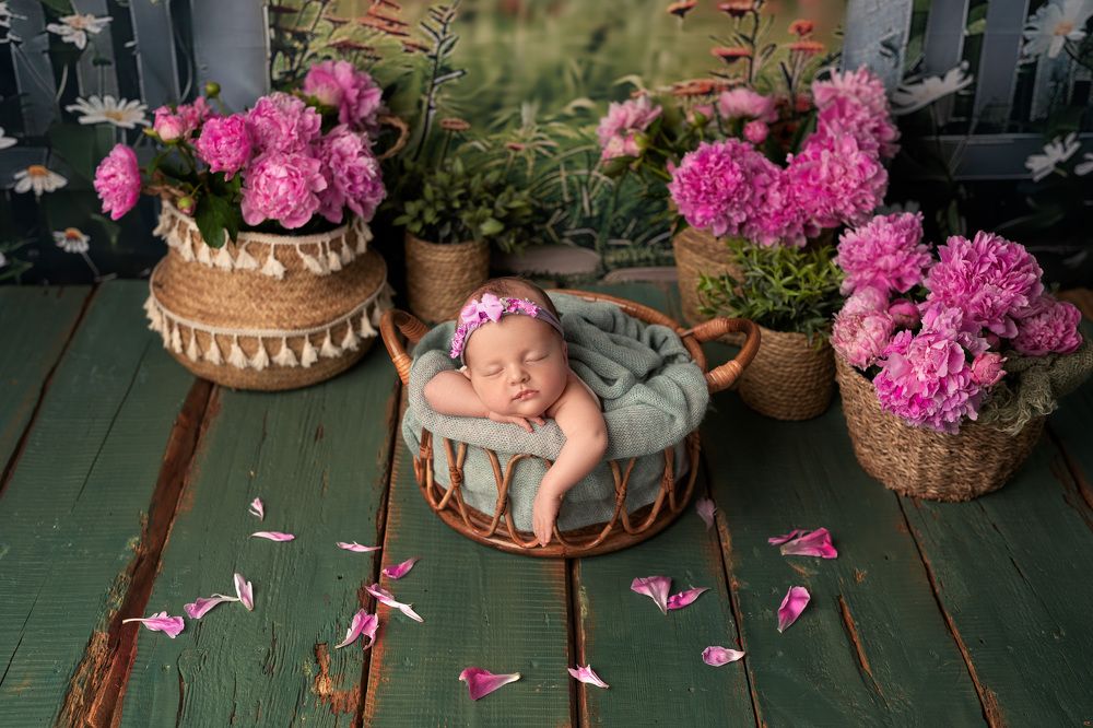 Photograph by Мария Немолот