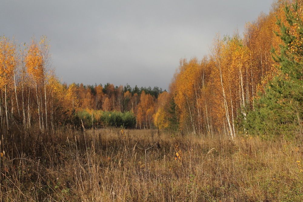 Photograph by Людмила Павловна