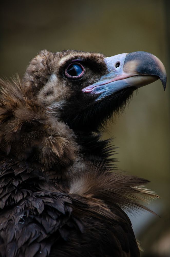 Photograph by Ирина Бандалет