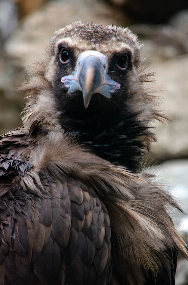 Photograph by Ирина Бандалет