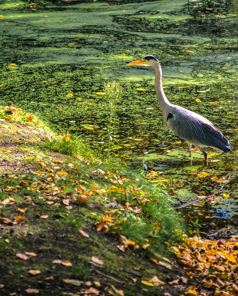 Photograph by Vitalii Kaznin