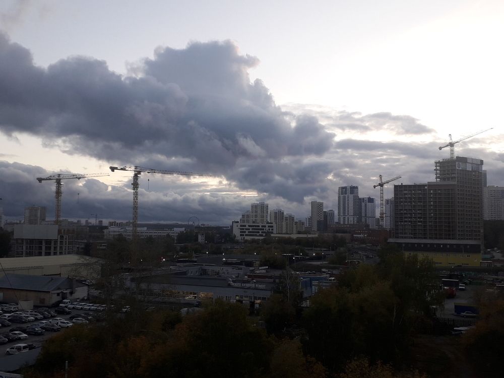 Photo #11081809