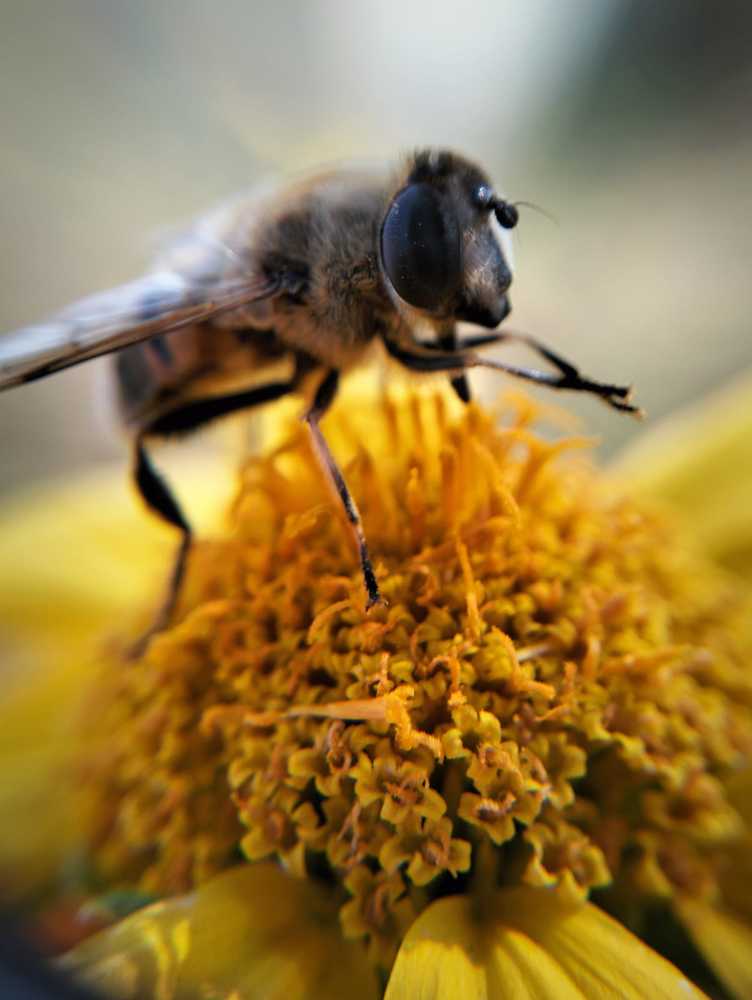 Photograph by Елена Васильева
