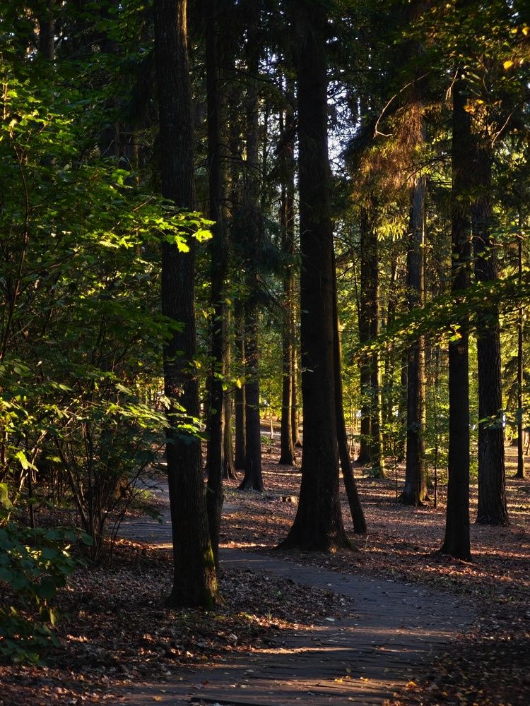 Photograph by Татьяна Соколовская