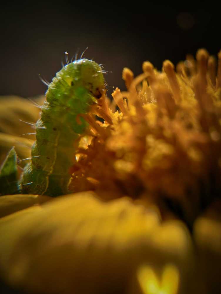 Photograph by Елена Васильева