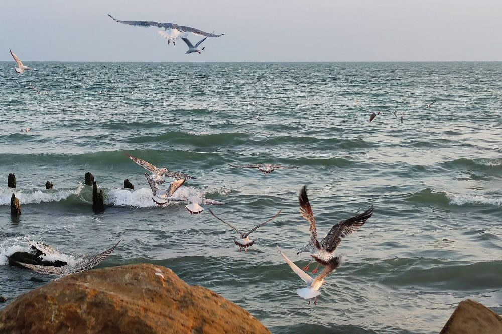 Photograph by Айдын Мехтиев