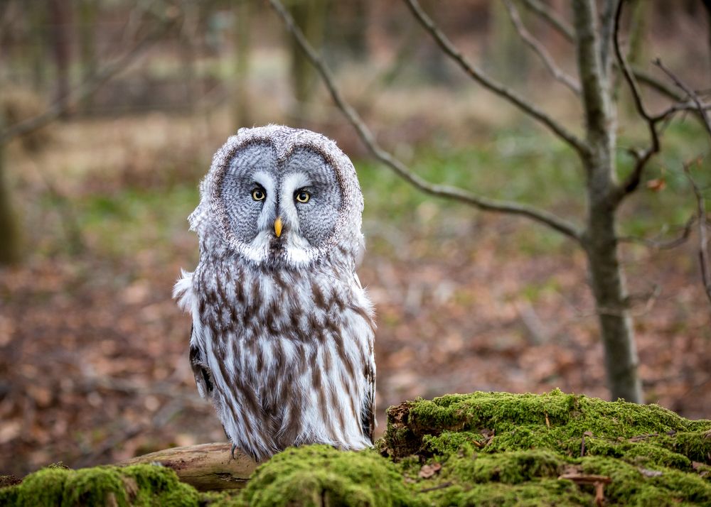 Photograph by Anatoly Chomko