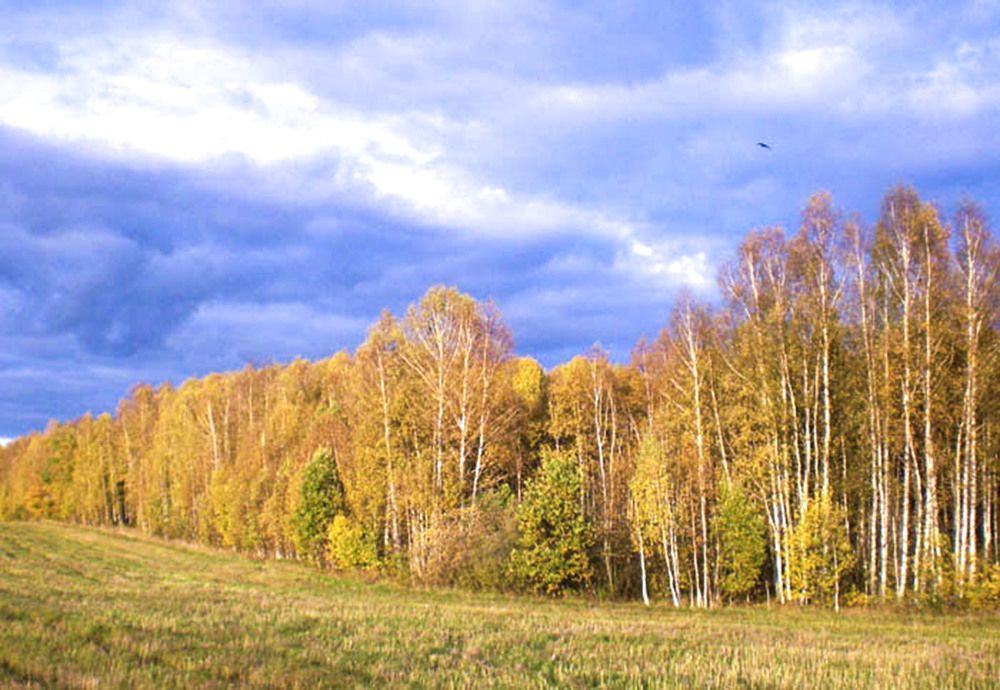 Photograph by Людмила Павловна