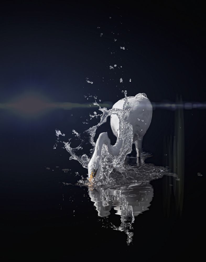 Photograph by Schletter Jackie