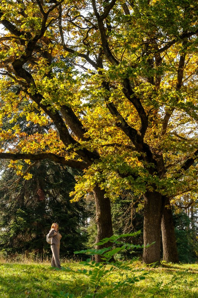 Photograph by Дмитрий Несветайлов