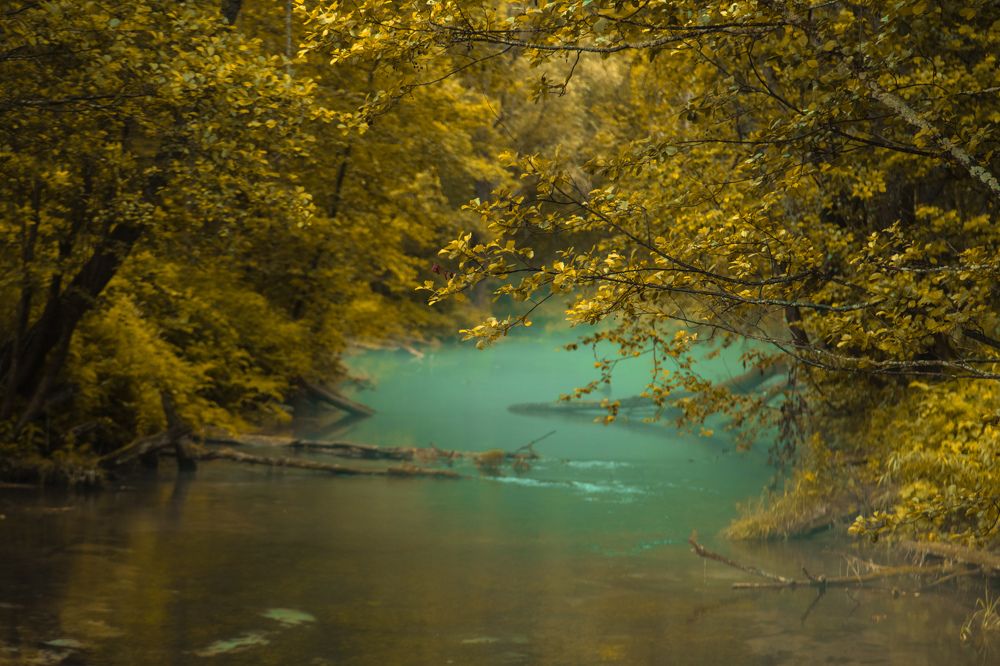 Photograph by Сагдиева Эльвира