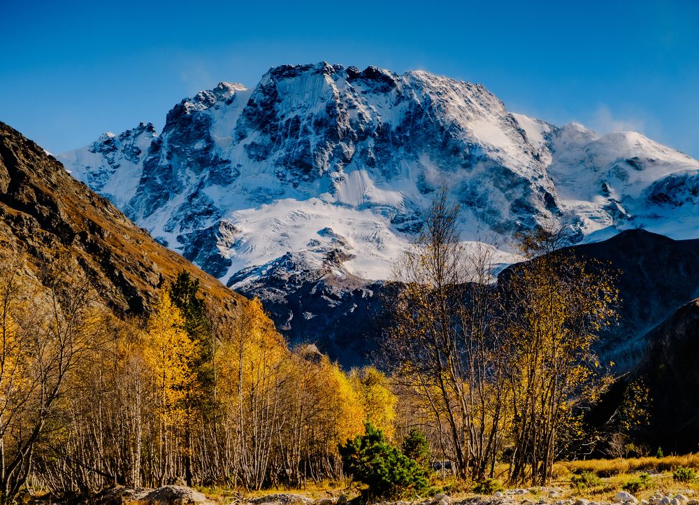 Photograph by Дмитрий Несветайлов