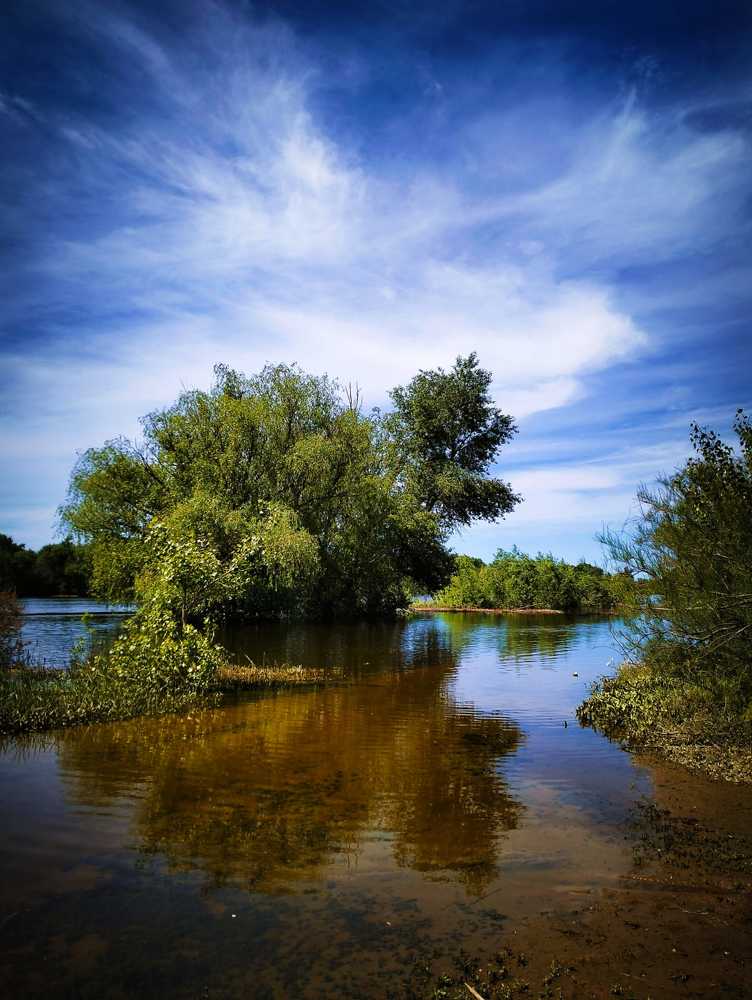 Photograph by Елена Васильева