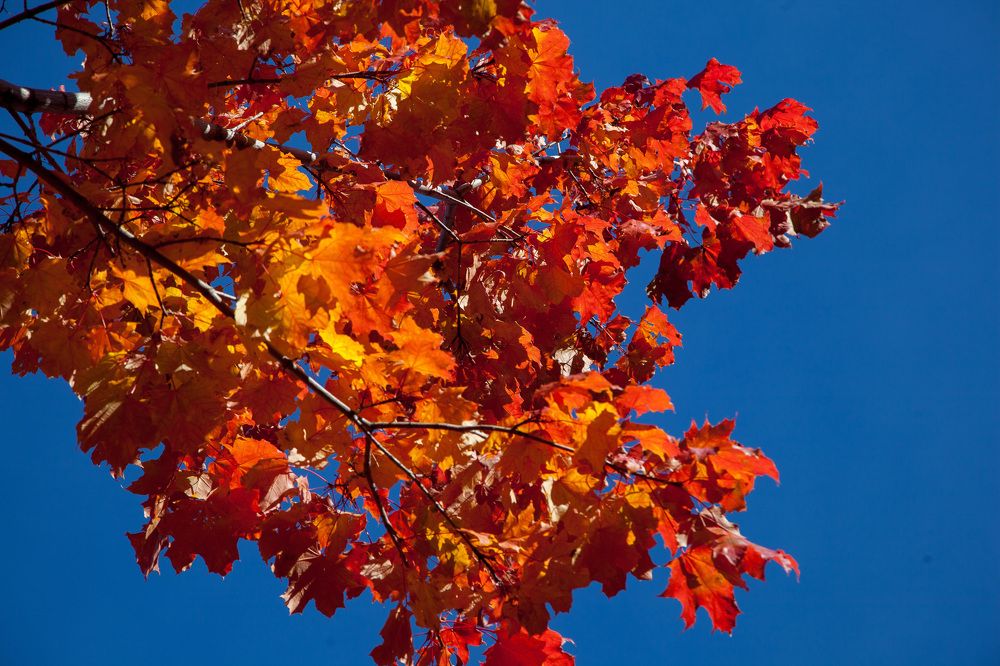 Photograph by Сагдиева Эльвира