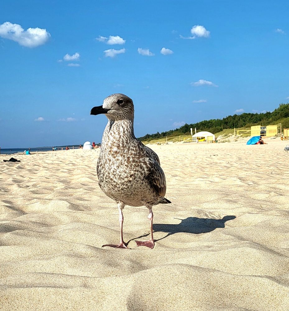 Photograph by Dmitrij Zykunov