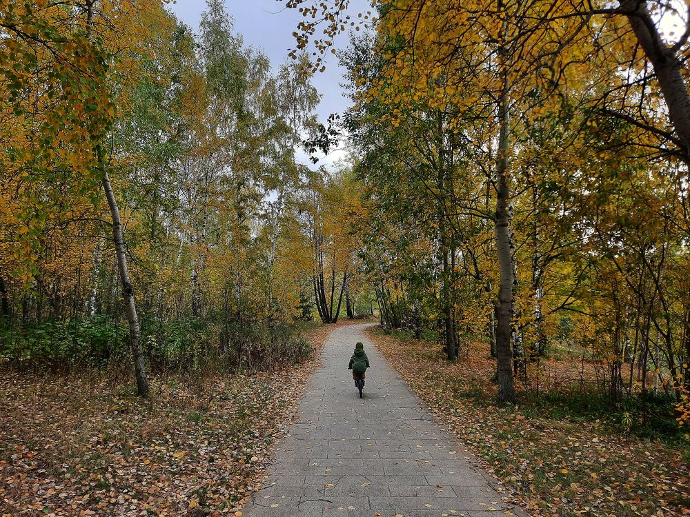 Photograph by Головчанский Артем Сергеевич