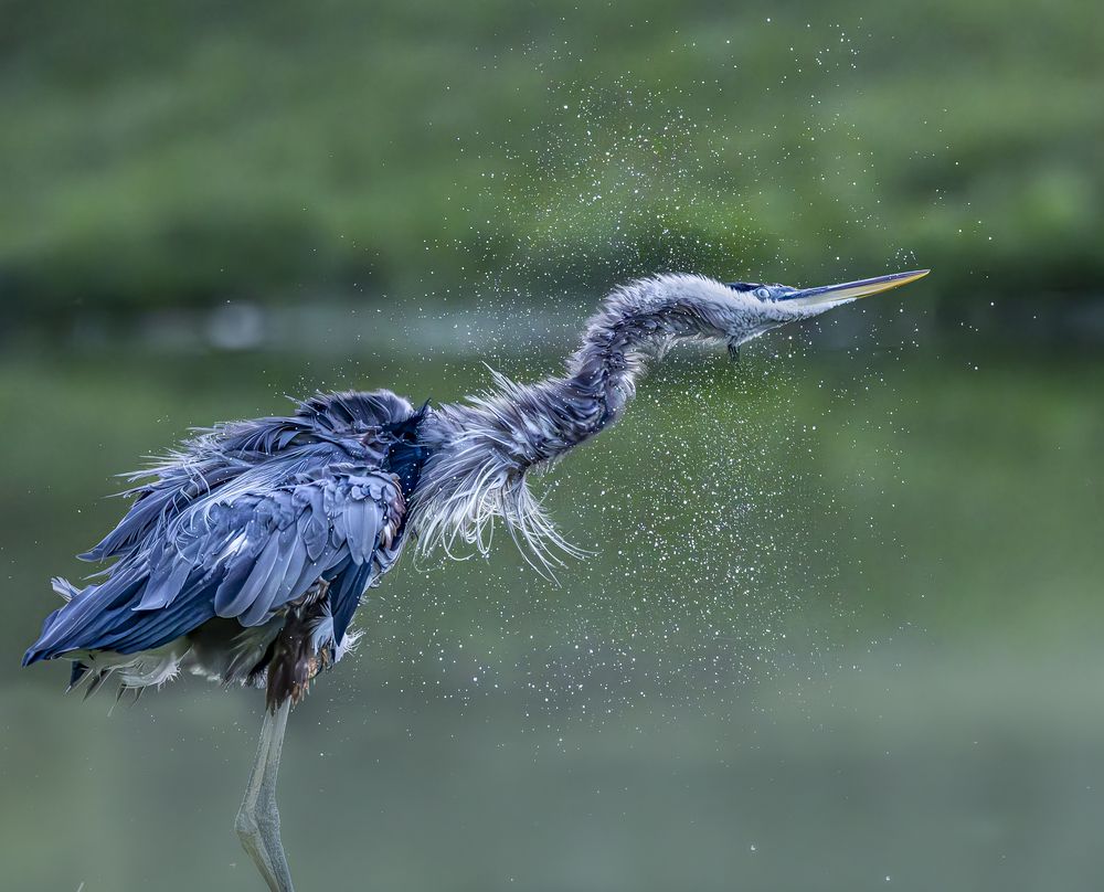 Photograph by Schletter Jackie