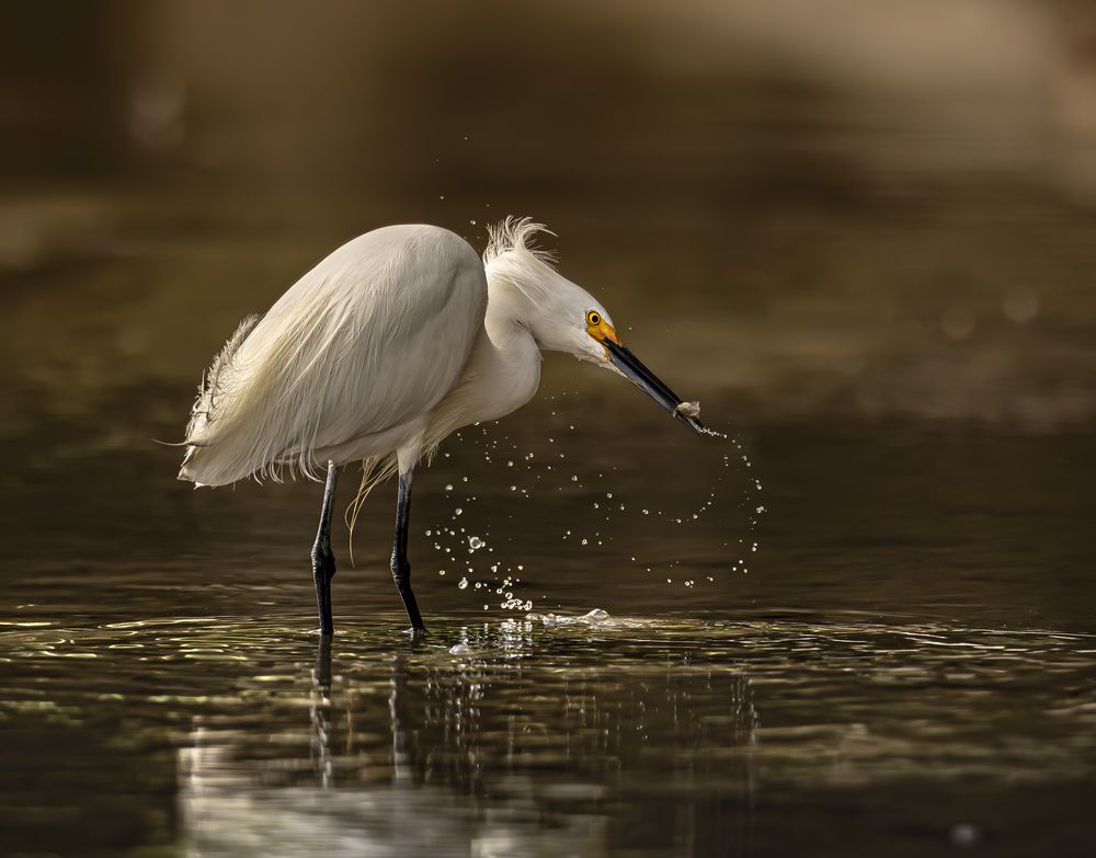 Photograph by Schletter Jackie