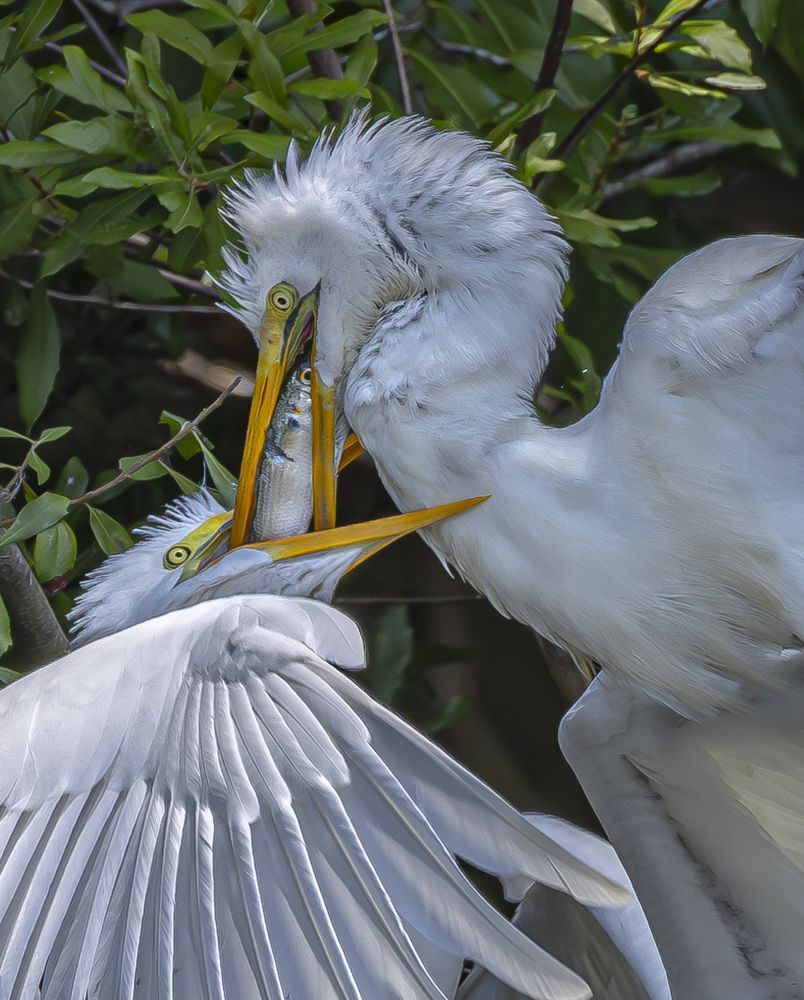 Photograph by Schletter Jackie