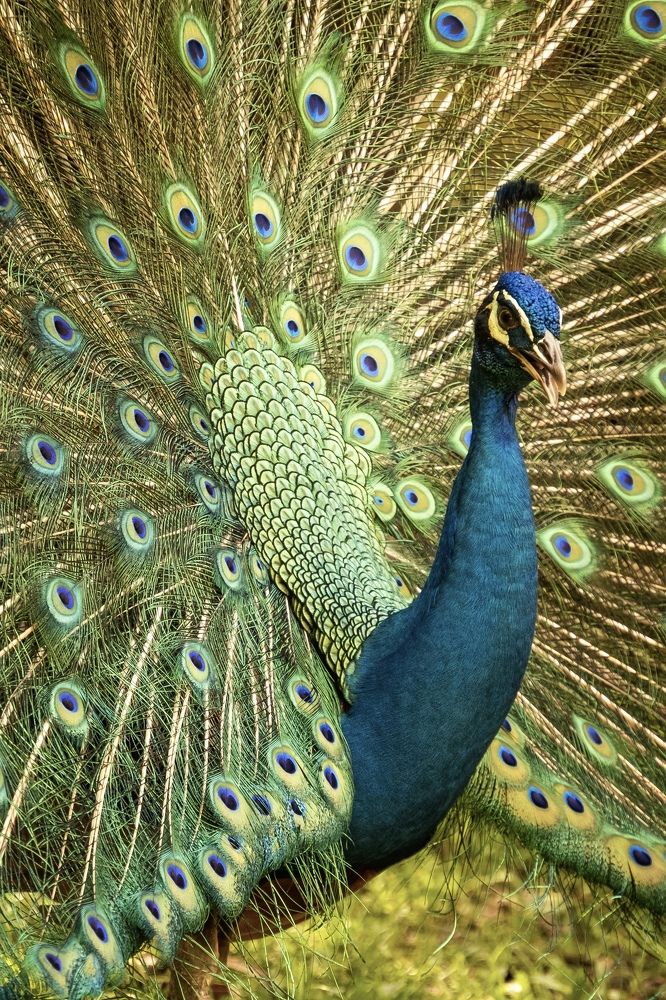 Photograph by Дулова Анастасия