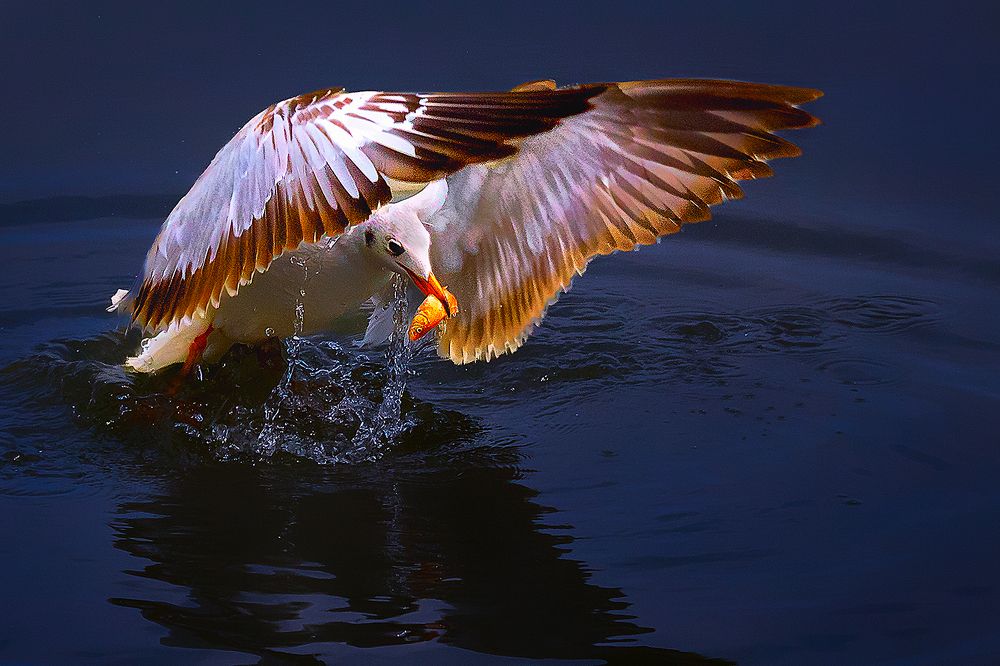 Photograph by Bùi Long