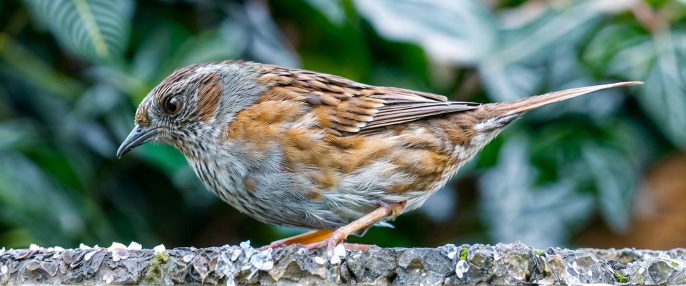 Photograph by Bohatyrov Yuri