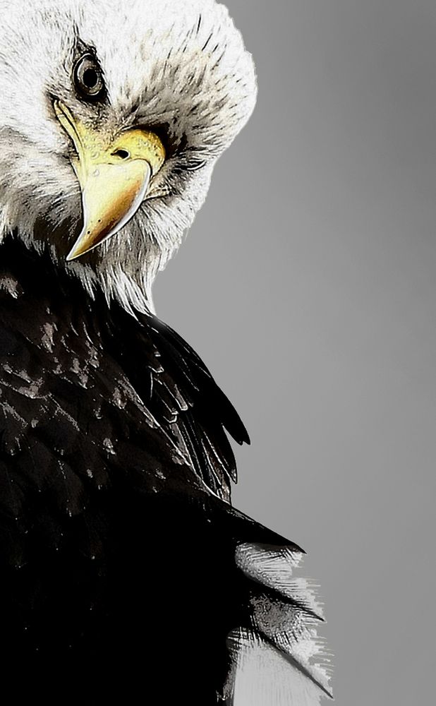 Фотография автора Meer GHERSBERG