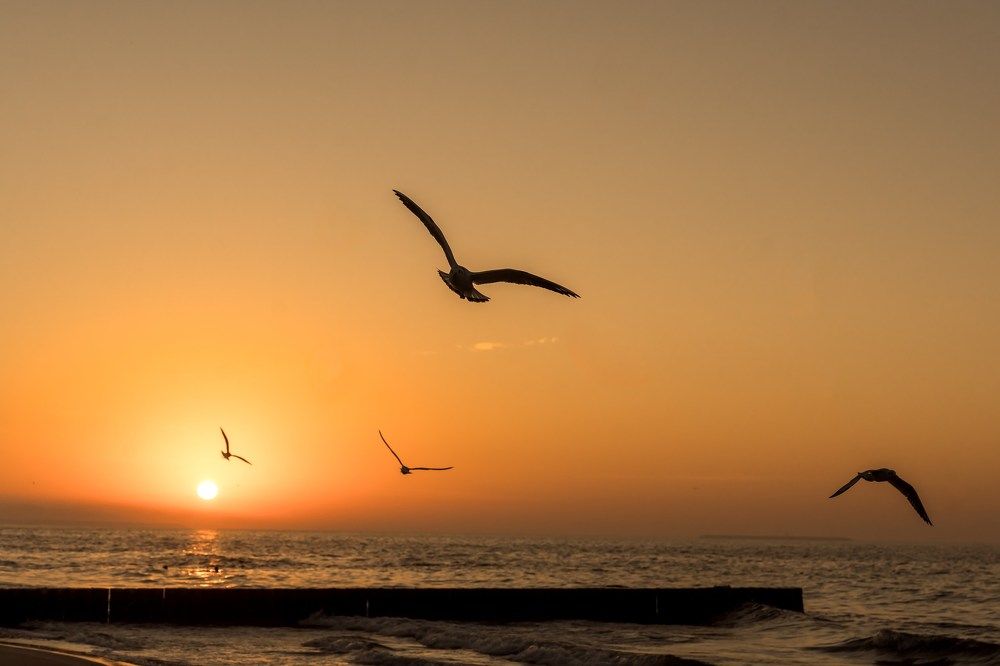 Photograph by Марина Суздаль