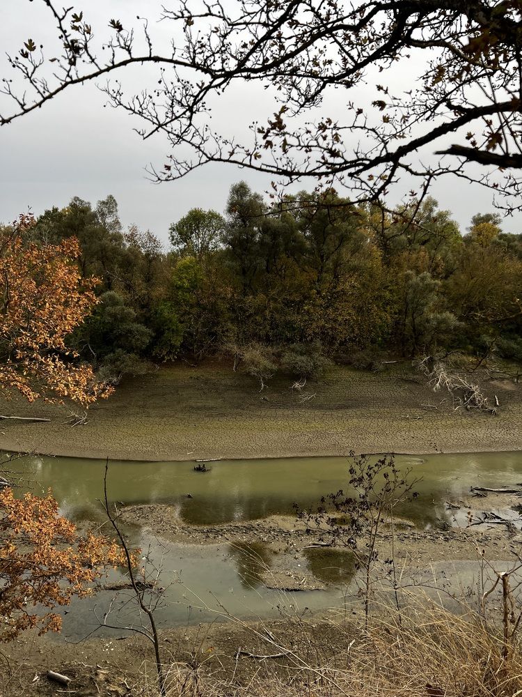 Photograph by Елена Громова