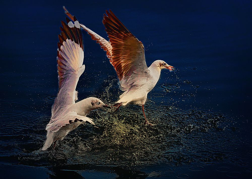 Photograph by Bùi Long