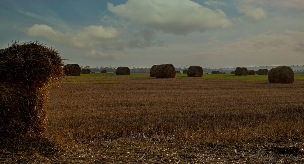 Photograph by Ирина Бескровная