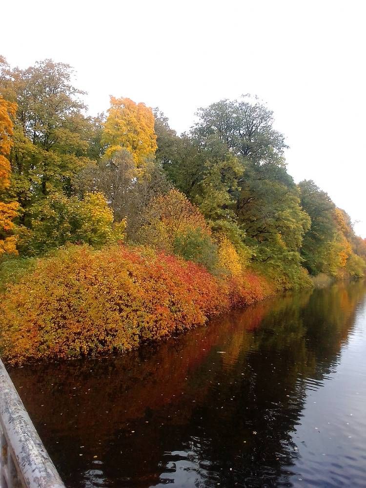 В багрец и в золото одетые леса.