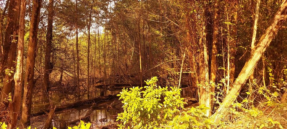 Photograph by CRINALDO REIS