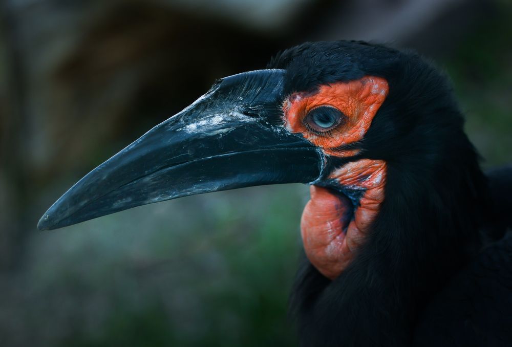 Photograph by Lena Melnikova