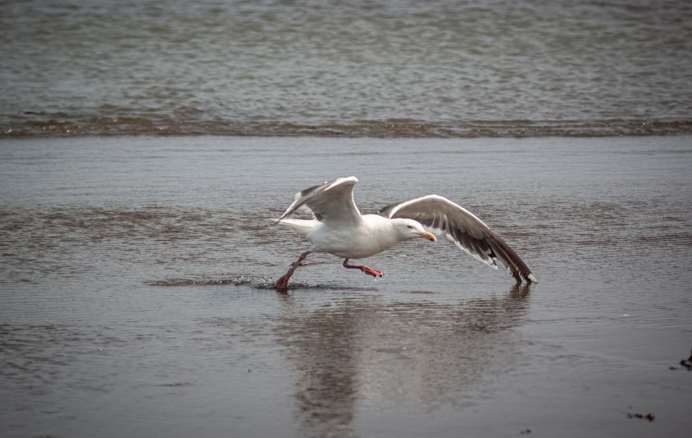 Photograph by Наталья Островцева