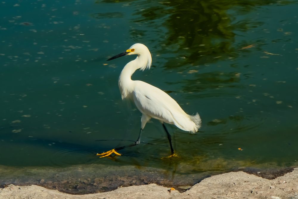 Photograph by Сергей Аверченко