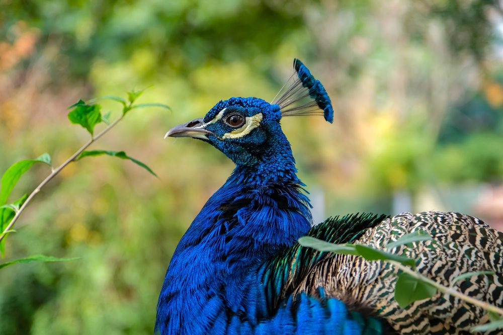 Photograph by Сергей Аверченко