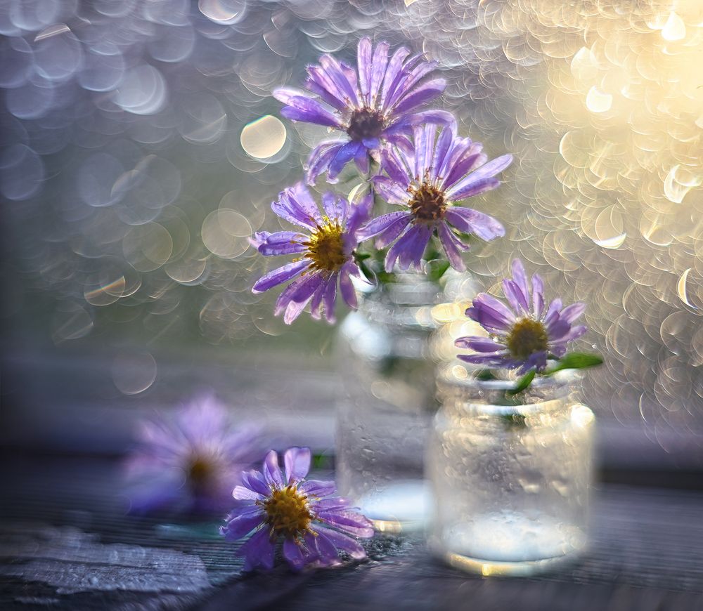 Splashes of light/Брызги света