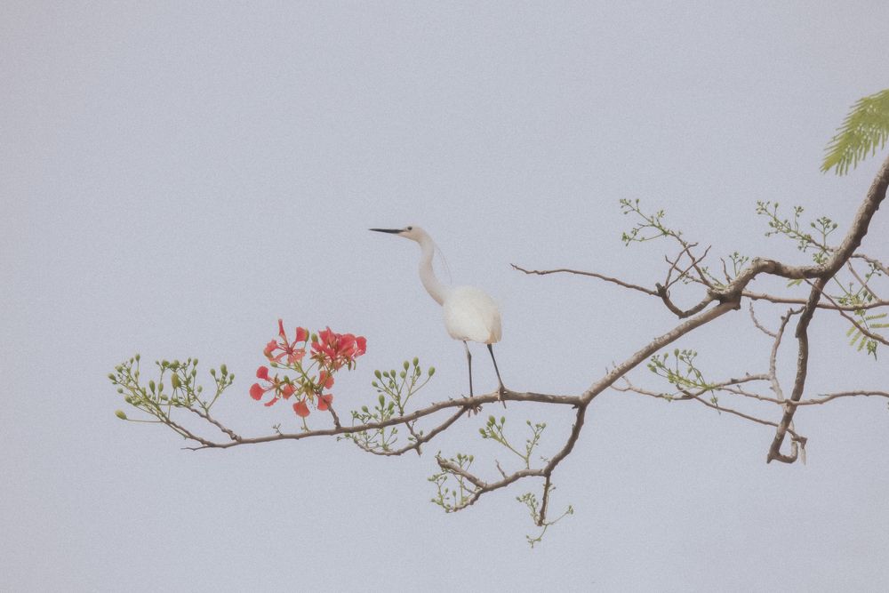 Where are you? I'm looking for you