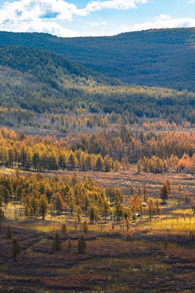 Photograph by Chen Chen