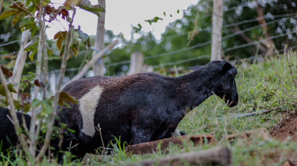 Photograph by nileydi Colmenarez