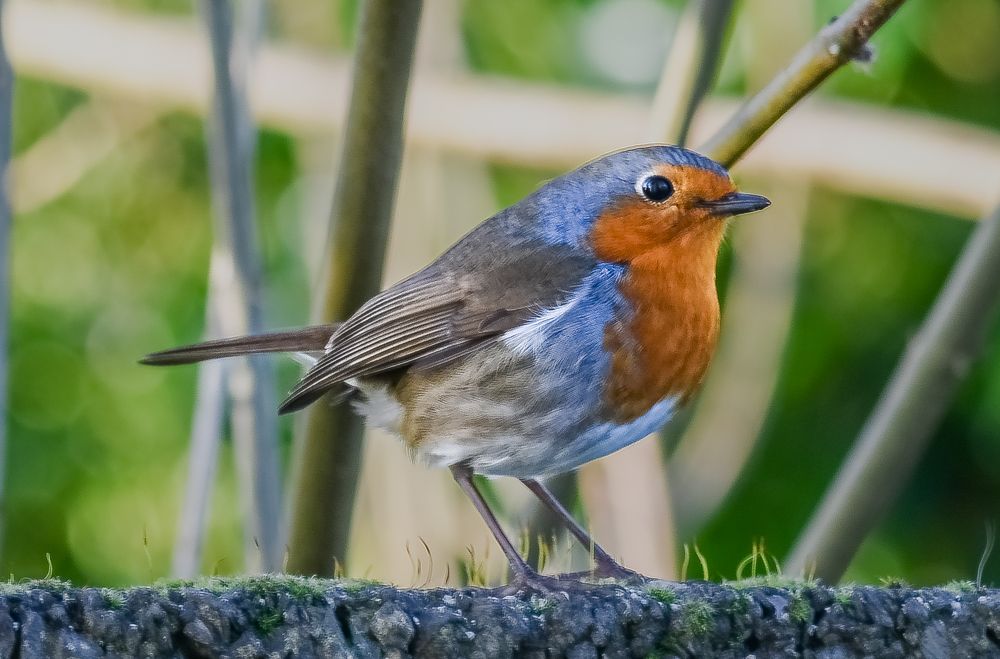 Photograph by Bohatyrov Yuri