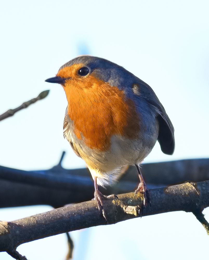 Photograph by Bohatyrov Yuri