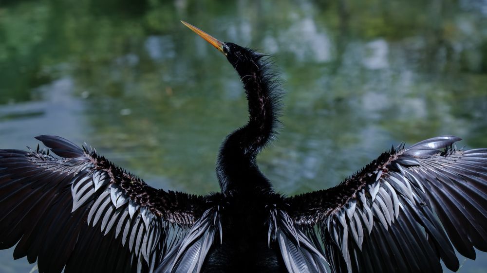 Photograph by nileydi Colmenarez