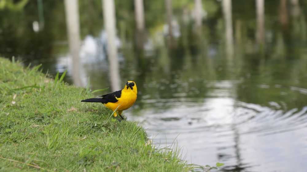 Photograph by nileydi Colmenarez