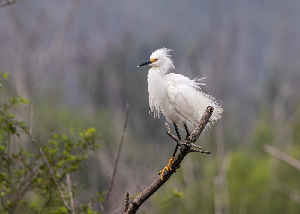 Photograph by Анатолий Костерев