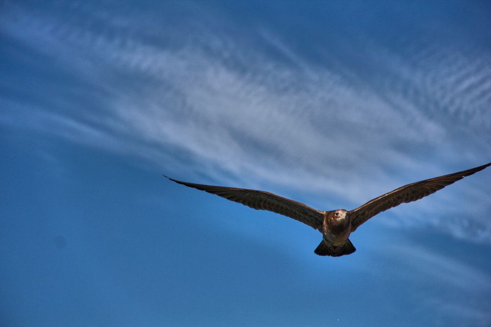 Фотография автора Наталия Мащенко